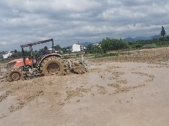 仙居縣皤灘鄉板橋村建設用地復墾項目