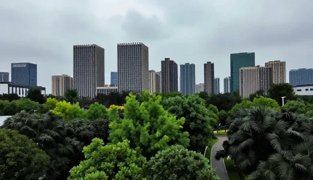 覆盖多场景的软件开发如何支撑企业高效运营